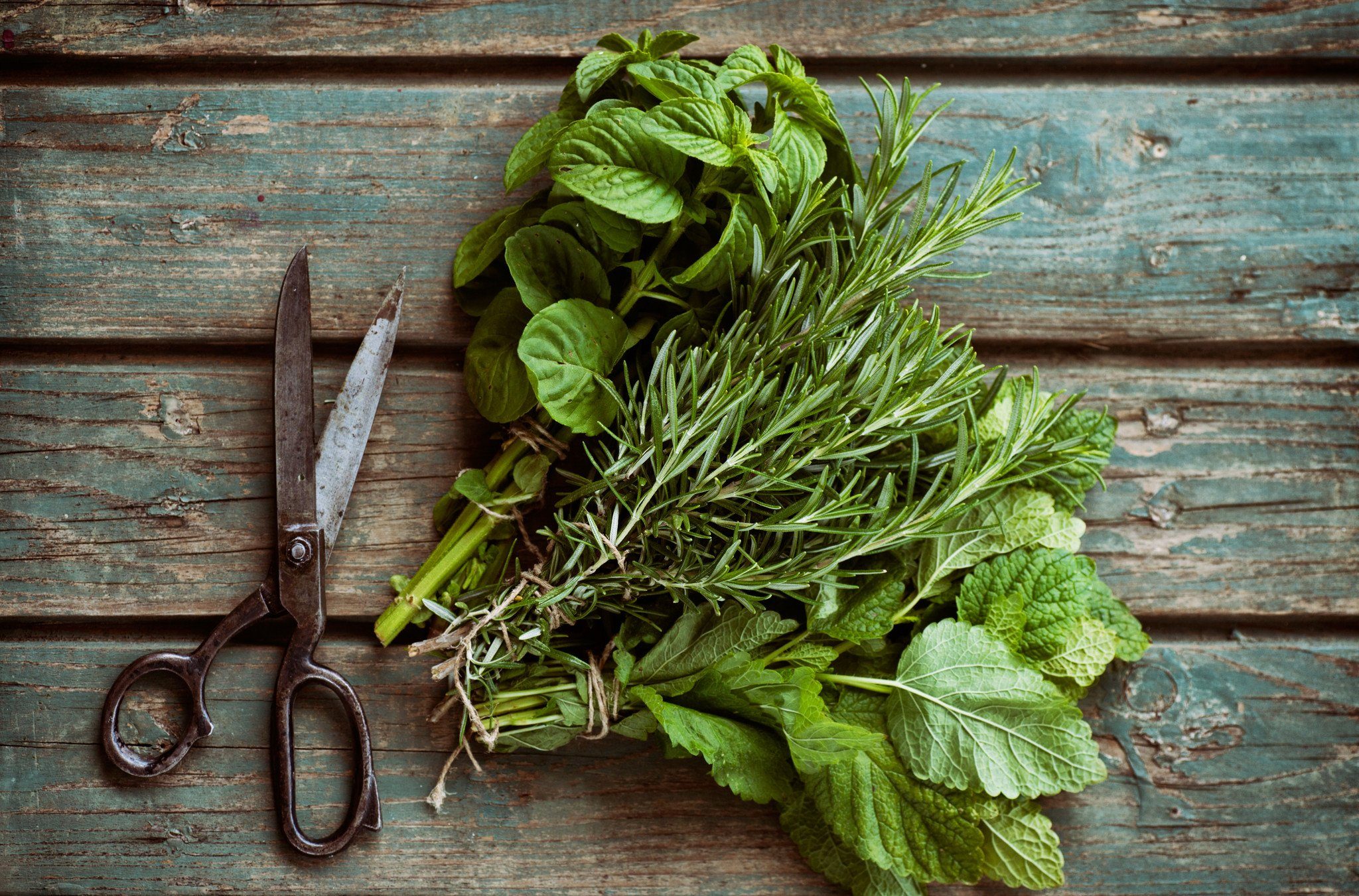 How To Substitute Fresh vs Dried Herbs - Spend With Pennies