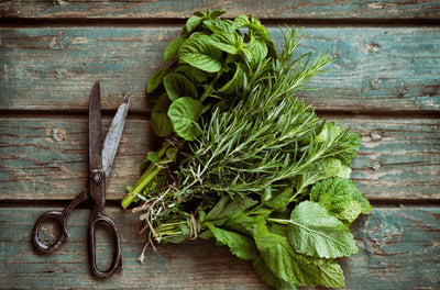 Dry Herbs vs. Fresh Herbs: Advice from Chef Neil